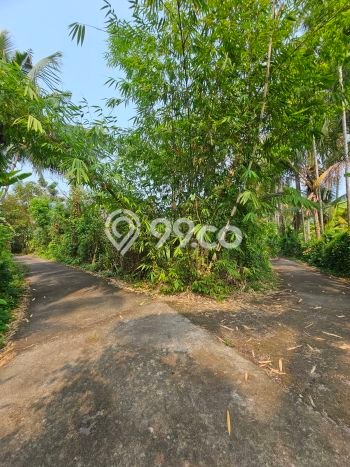Tanah Dijual di Buleleng Seluas 400m2 Strategis Tanah Dijual di Buleleng Seluas 400m2 Strategis