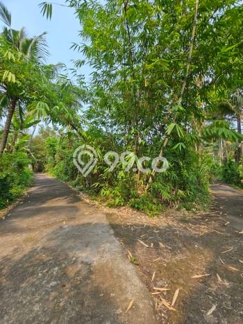 Tanah Dijual di Buleleng Seluas 400m2 Strategis Tanah Dijual di Buleleng Seluas 400m2 Strategis