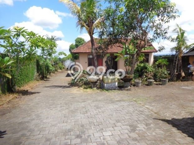 Tanah Dijual Lokasi Mengwi, Badung Luas 3300m2 Legalitas Aman Tanah Dijual Lokasi Mengwi, Badung Luas 3300m2 Legalitas Aman