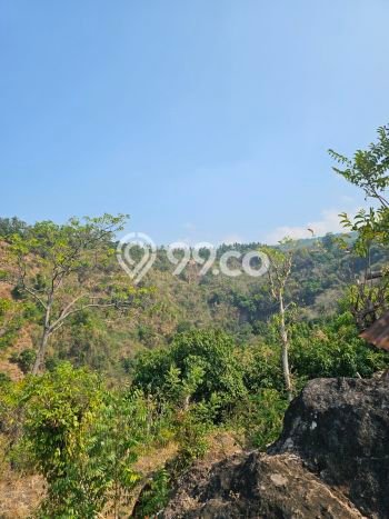Tanah di Buleleng, Buleleng Luas 25000m2 Dijual Segera Tanah di Buleleng, Buleleng Luas 25000m2 Dijual Segera