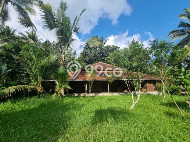AREA PROSPEKTIF! Tanah Kawasan Penebel, Luas 2000m2m², Dekat Fasilitas Umum AREA PROSPEKTIF! Tanah Kawasan Penebel, Luas 2000m2m², Dekat Fasilitas Umum