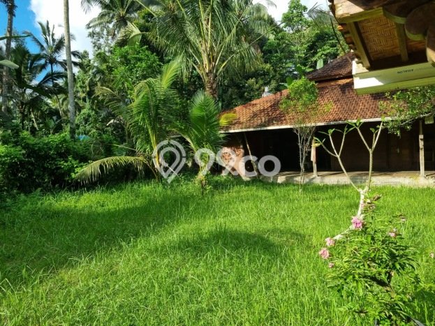 AREA PROSPEKTIF! Tanah Kawasan Penebel, Luas 2000m2m², Dekat Fasilitas Umum AREA PROSPEKTIF! Tanah Kawasan Penebel, Luas 2000m2m², Dekat Fasilitas Umum