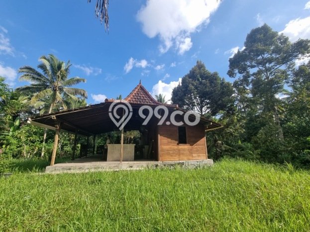AREA PROSPEKTIF! Tanah Kawasan Penebel, Luas 2000m2m², Dekat Fasilitas Umum AREA PROSPEKTIF! Tanah Kawasan Penebel, Luas 2000m2m², Dekat Fasilitas Umum