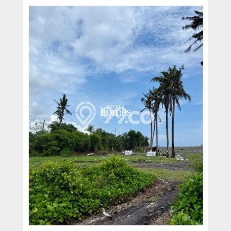 Kavling Tanah untuk Dijual di Saba, Gianyar, Luas 5225m2 Kavling Tanah untuk Dijual di Saba, Gianyar, Luas 5225m2