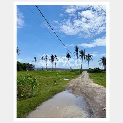 Kavling Tanah untuk Dijual di Saba, Gianyar, Luas 5225m2 Kavling Tanah untuk Dijual di Saba, Gianyar, Luas 5225m2