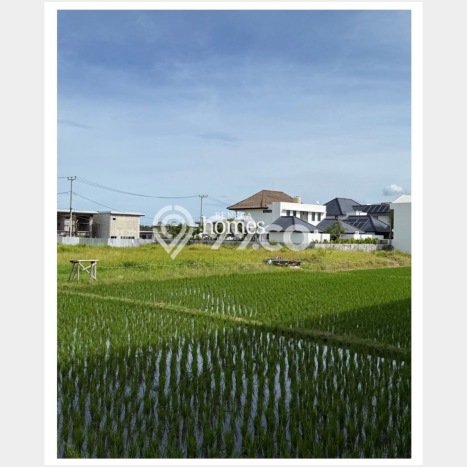 Dijual Tanah di Badung, Luas 1220m2 - Dijual Tanah di Badung, Luas 1220m2 -