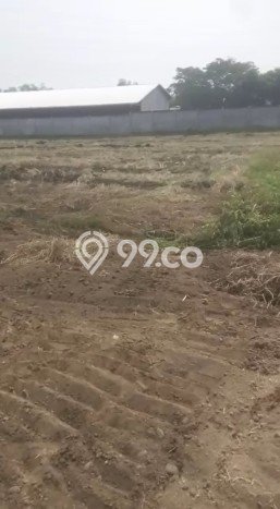 Dijual Tanah Kawasan Purwosari, Luas 10285m2m², Dekat Purwosari, Pasuruan, Pasuruan Dijual Tanah Kawasan Purwosari, Luas 10285m2m², Dekat Purwosari, Pasuruan, Pasuruan