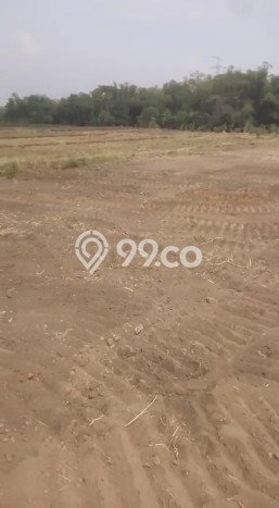 Dijual Tanah Kawasan Purwosari, Luas 10285m2m², Dekat Purwosari, Pasuruan, Pasuruan Dijual Tanah Kawasan Purwosari, Luas 10285m2m², Dekat Purwosari, Pasuruan, Pasuruan