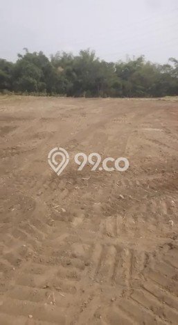 Dijual Tanah Kawasan Purwosari, Luas 10285m2m², Dekat Purwosari, Pasuruan, Pasuruan Dijual Tanah Kawasan Purwosari, Luas 10285m2m², Dekat Purwosari, Pasuruan, Pasuruan