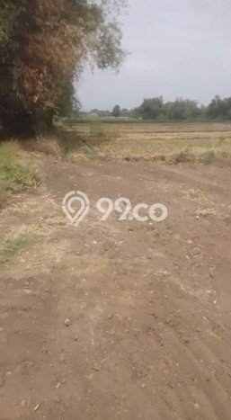 Dijual Tanah Kawasan Purwosari, Luas 10285m2m², Dekat Purwosari, Pasuruan, Pasuruan Dijual Tanah Kawasan Purwosari, Luas 10285m2m², Dekat Purwosari, Pasuruan, Pasuruan