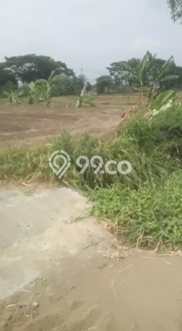 Dijual Tanah Kawasan Purwosari, Luas 10285m2m², Dekat Purwosari, Pasuruan, Pasuruan Dijual Tanah Kawasan Purwosari, Luas 10285m2m², Dekat Purwosari, Pasuruan, Pasuruan