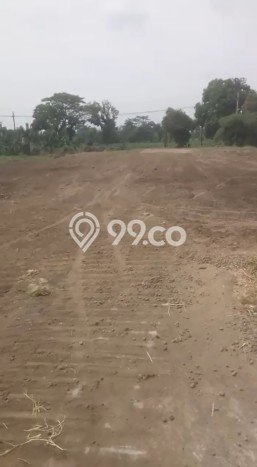 Dijual Tanah Kawasan Purwosari, Luas 10285m2m², Dekat Purwosari, Pasuruan, Pasuruan Dijual Tanah Kawasan Purwosari, Luas 10285m2m², Dekat Purwosari, Pasuruan, Pasuruan