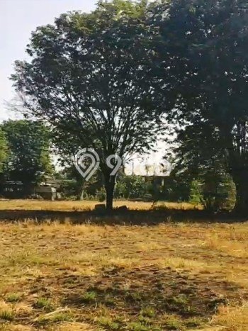 Gudang Disewakan di Kawasan Ramai Gempol, Pasuruan Gudang Disewakan di Kawasan Ramai Gempol, Pasuruan