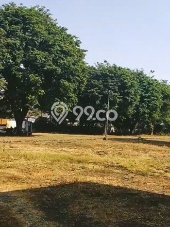 Gudang Disewakan di Kawasan Ramai Gempol, Pasuruan Gudang Disewakan di Kawasan Ramai Gempol, Pasuruan