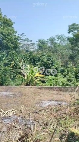 Komersial Usaha Dijual di Turen Malang LT 1703m2 & LB 703m2 Komersial Usaha Dijual di Turen Malang LT 1703m2 & LB 703m2