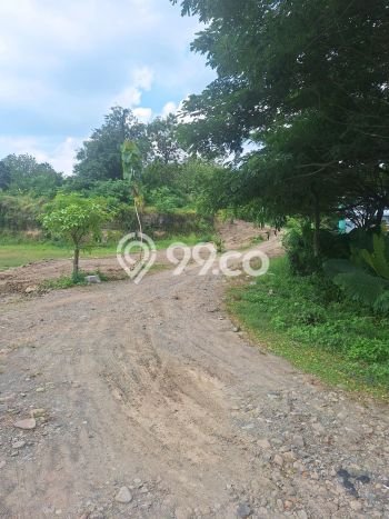 Tanah Kavling Dijual di Ketileng, Semarang dengan Luas Tanah 300000m2 Tanah Kavling Dijual di Ketileng, Semarang dengan Luas Tanah 300000m2
