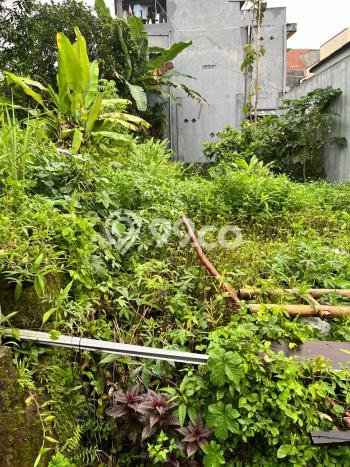 Lahan Dijual Lokasi Tembalang, Semarang dengan Luas Tanah 123m2 dan Status SHM Lahan Dijual Lokasi Tembalang, Semarang dengan Luas Tanah 123m2 dan Status SHM