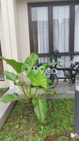 Rumah Minimalis 3 KT di Bandung Kota Bandung Unfurnished Rumah Minimalis 3 KT di Bandung Kota Bandung Unfurnished