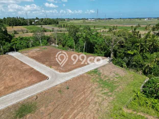 Tanah Dijual Lokasi Strategis di Tabanan dengan Luas 560m2 Tanah Dijual Lokasi Strategis di Tabanan dengan Luas 560m2
