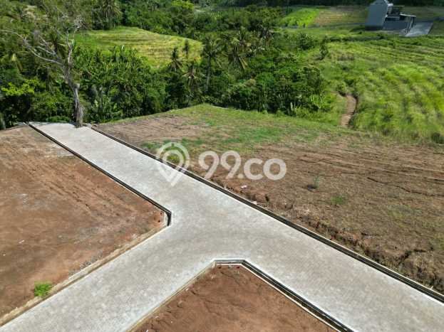 Tanah Dijual Lokasi Strategis di Tabanan dengan Luas 560m2 Tanah Dijual Lokasi Strategis di Tabanan dengan Luas 560m2