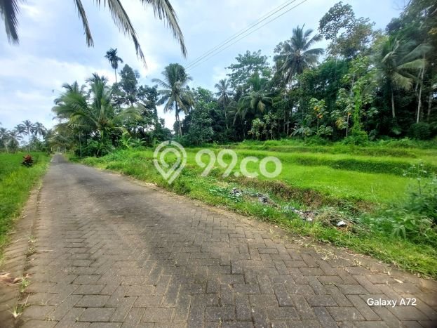 Tanah Dijual Lokasi Licin, Banyuwangi dengan Luas Tanah 1500m2 dan Status AJB Tanah Dijual Lokasi Licin, Banyuwangi dengan Luas Tanah 1500m2 dan Status AJB