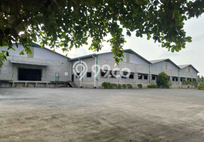 Unit Pabrik Dijual di Batang Batang Luas Bangunan 14000m2 Unit Pabrik Dijual di Batang Batang Luas Bangunan 14000m2
