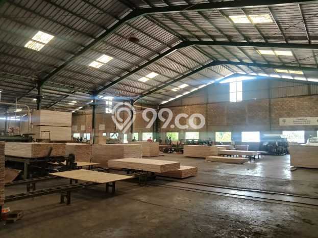 Unit Pabrik Dijual di Batang Batang Luas Bangunan 14000m2 Unit Pabrik Dijual di Batang Batang Luas Bangunan 14000m2