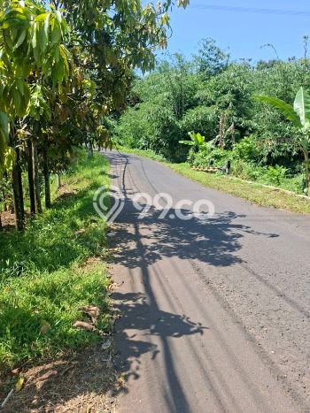 Kavling Tanah Dijual di Mijen, Semarang, Luas 10000m2 Area Strategis Kavling Tanah Dijual di Mijen, Semarang, Luas 10000m2 Area Strategis
