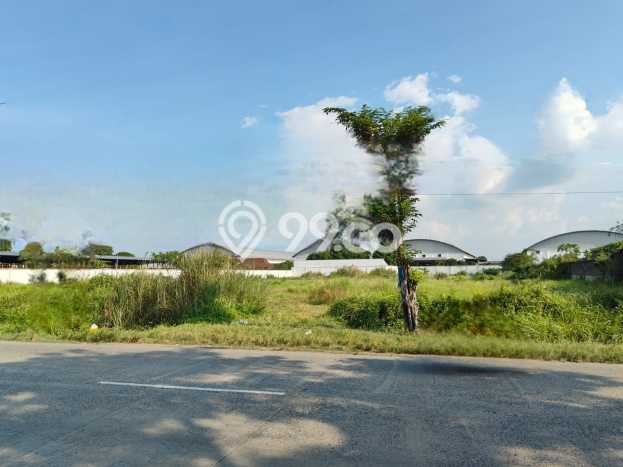 Tanah Dijual Lokasi Karangawen, Demak Luas 10300m2 Legalitas Aman Tanah Dijual Lokasi Karangawen, Demak Luas 10300m2 Legalitas Aman