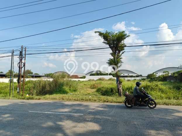 Tanah Dijual Lokasi Karangawen, Demak Luas 10300m2 Legalitas Aman Tanah Dijual Lokasi Karangawen, Demak Luas 10300m2 Legalitas Aman