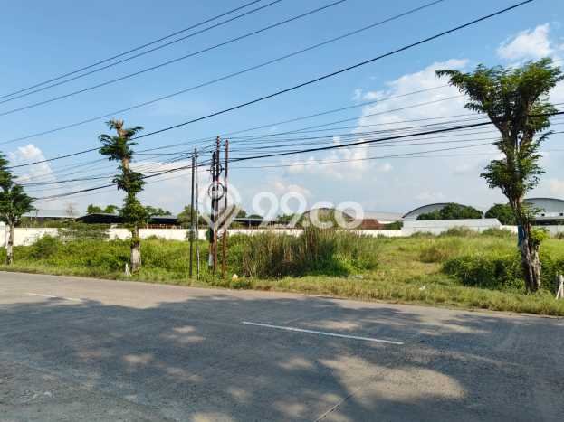 Tanah Dijual Lokasi Karangawen, Demak Luas 10300m2 Legalitas Aman Tanah Dijual Lokasi Karangawen, Demak Luas 10300m2 Legalitas Aman