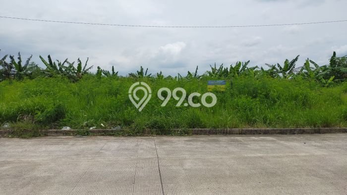 Tanah Dijual Lokasi Strategis di Bekasi dengan Luas 2400m2 Tanah Dijual Lokasi Strategis di Bekasi dengan Luas 2400m2