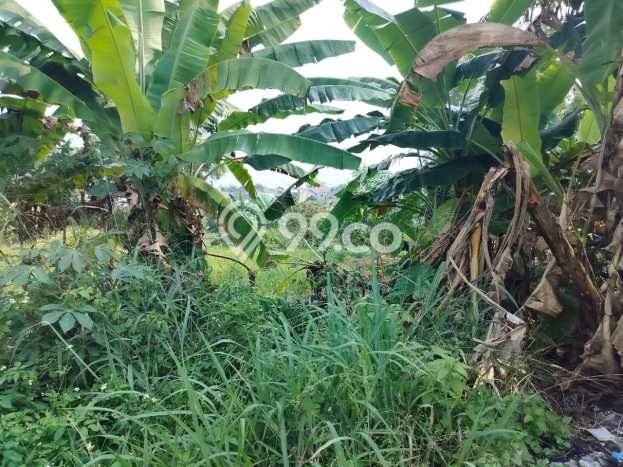 Tanah Kosong Dijual di Depok dengan Area 85000m2 Tanah Kosong Dijual di Depok dengan Area 85000m2