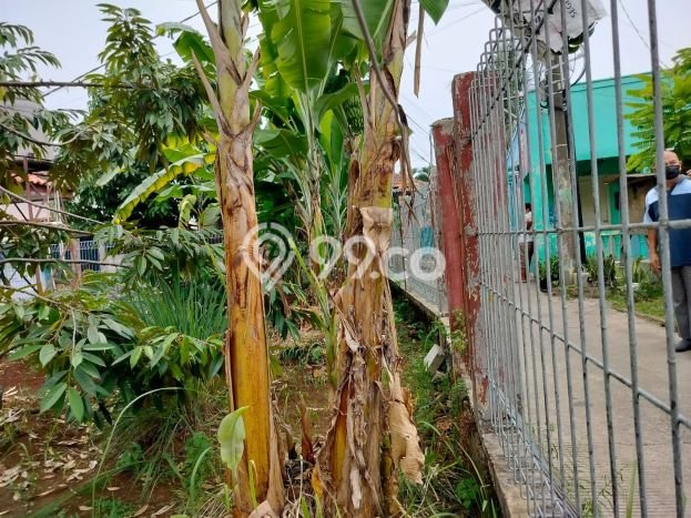 Tanah Kavling di Cilodong Dijual dengan Luas 74m2 Tanah Kavling di Cilodong Dijual dengan Luas 74m2