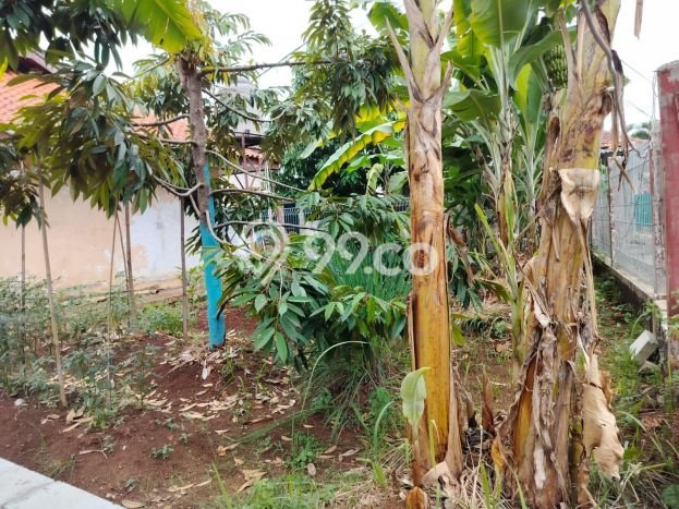 Tanah Kavling di Cilodong Dijual dengan Luas 74m2 Tanah Kavling di Cilodong Dijual dengan Luas 74m2
