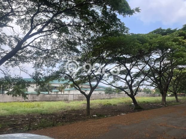 Unit Gudang Dijual di Cikupa Tangerang 2m2 Unit Gudang Dijual di Cikupa Tangerang 2m2