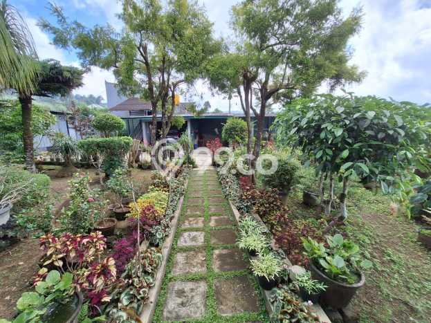 Lahan Dijual Lokasi Strategis di Tabanan dengan Luas 1640m2 Lahan Dijual Lokasi Strategis di Tabanan dengan Luas 1640m2