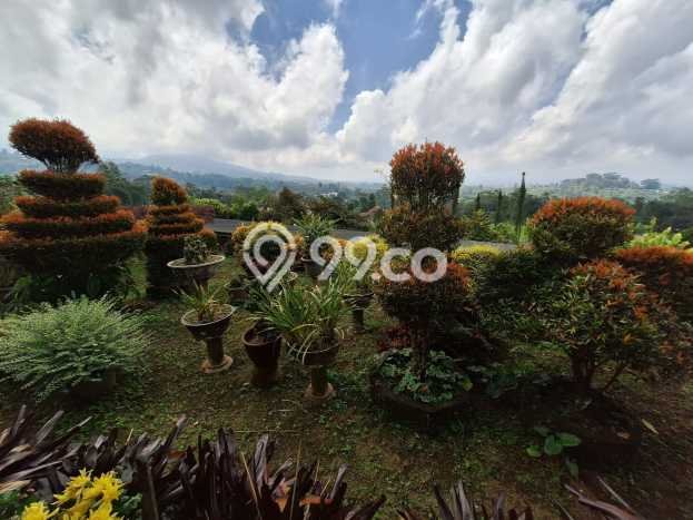 Lahan Dijual Lokasi Strategis di Tabanan dengan Luas 1640m2 Lahan Dijual Lokasi Strategis di Tabanan dengan Luas 1640m2