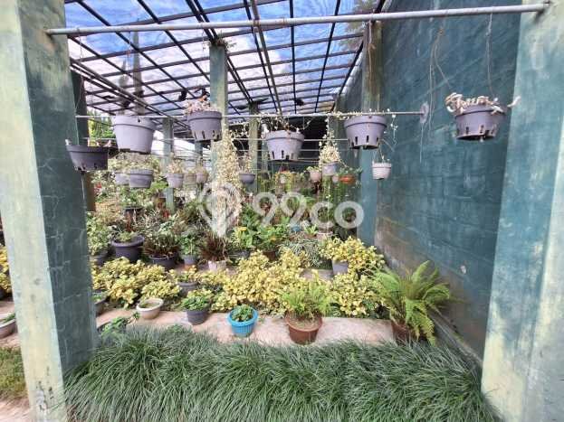 Lahan Dijual Lokasi Strategis di Tabanan dengan Luas 1640m2 Lahan Dijual Lokasi Strategis di Tabanan dengan Luas 1640m2