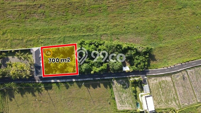Lahan Investasi Lokasi Tabanan Tabanan SHM Lahan Investasi Lokasi Tabanan Tabanan SHM