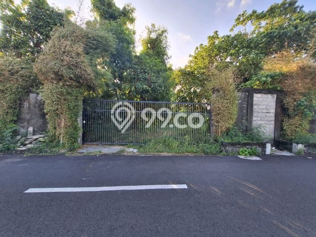 Lahan Investasi Lokasi Tabanan Tabanan SHM Lahan Investasi Lokasi Tabanan Tabanan SHM