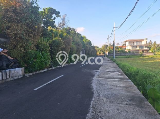 Lahan Investasi Lokasi Tabanan Tabanan SHM Lahan Investasi Lokasi Tabanan Tabanan SHM