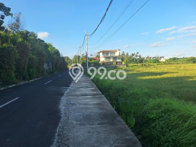 Lahan Investasi Lokasi Tabanan Tabanan SHM Lahan Investasi Lokasi Tabanan Tabanan SHM