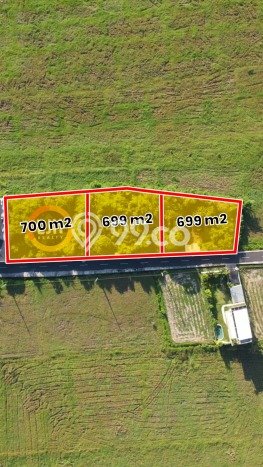 Lahan Investasi Lokasi Tabanan Tabanan SHM Lahan Investasi Lokasi Tabanan Tabanan SHM