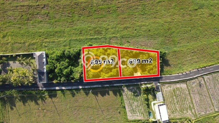 Lahan Investasi Lokasi Tabanan Tabanan SHM Lahan Investasi Lokasi Tabanan Tabanan SHM