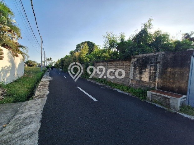 Lahan Investasi Lokasi Tabanan Tabanan SHM Lahan Investasi Lokasi Tabanan Tabanan SHM