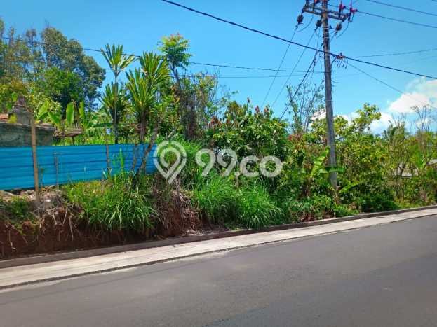 Dijual Tanah Lokasi Sepang Kelod, Buleleng Seluas 45000m2 Dijual Tanah Lokasi Sepang Kelod, Buleleng Seluas 45000m2