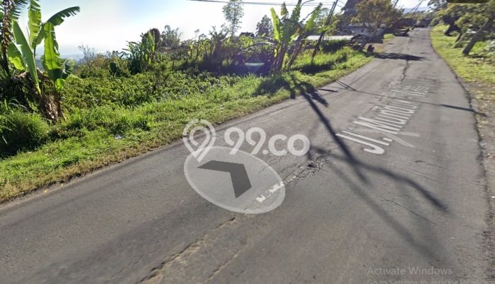 Tanah Kavling Dijual di Buleleng dengan Spesifikasi 2000m2 Tanah Kavling Dijual di Buleleng dengan Spesifikasi 2000m2