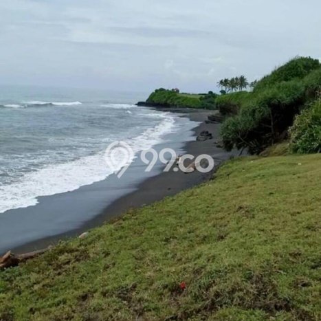 Tanah Dijual Lokasi Strategis di Badung dengan Luas 3100m2 Tanah Dijual Lokasi Strategis di Badung dengan Luas 3100m2
