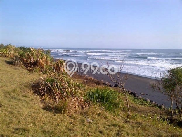 Tanah Dijual Lokasi Strategis di Badung dengan Luas 3100m2 Tanah Dijual Lokasi Strategis di Badung dengan Luas 3100m2